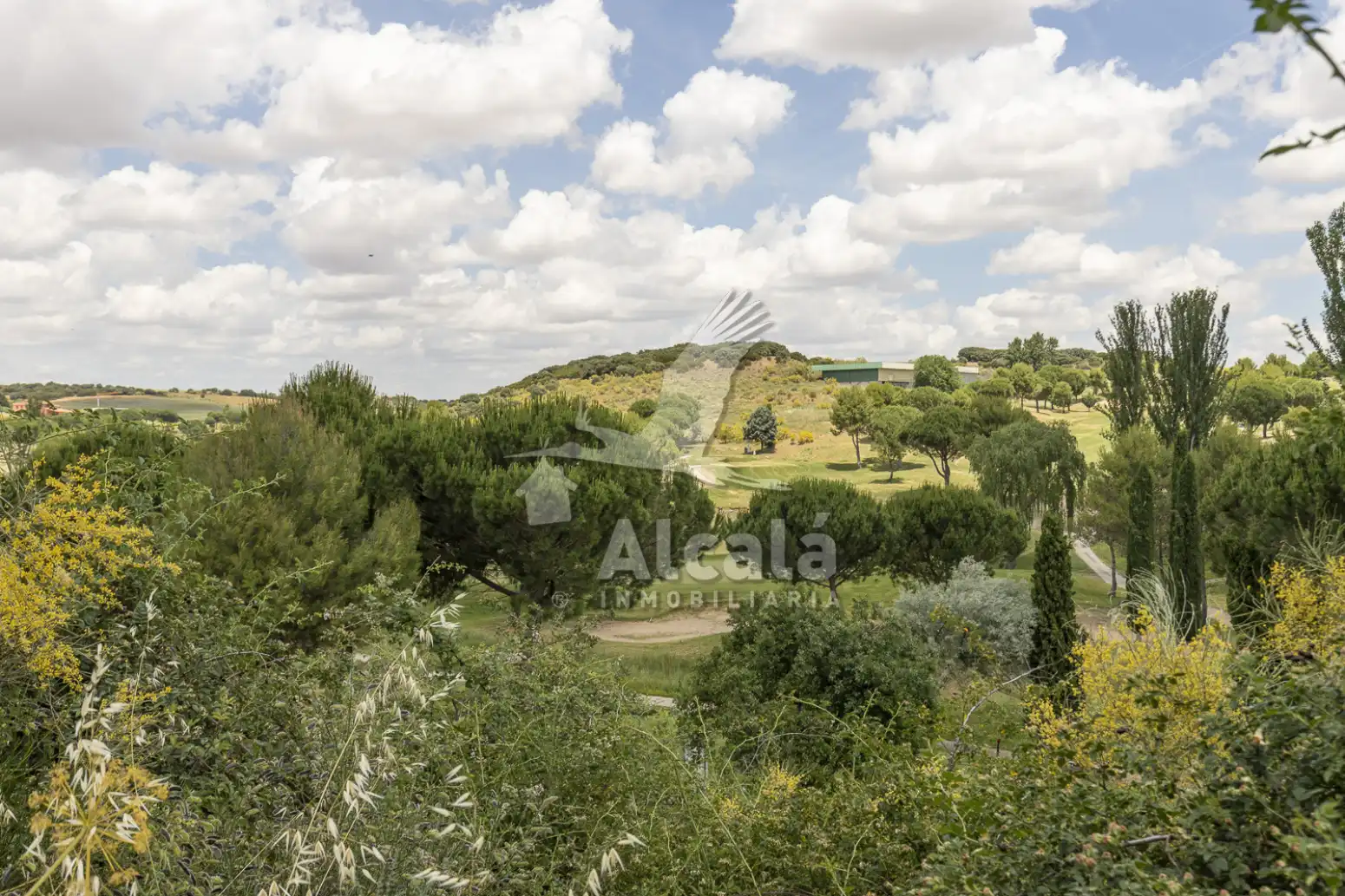 Terreny rústic en venda a Cabanillas del Campo, imagen 57