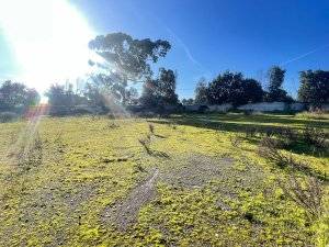 Terreno industrial en Alquiler en Avenida de los Campones en Tremañes