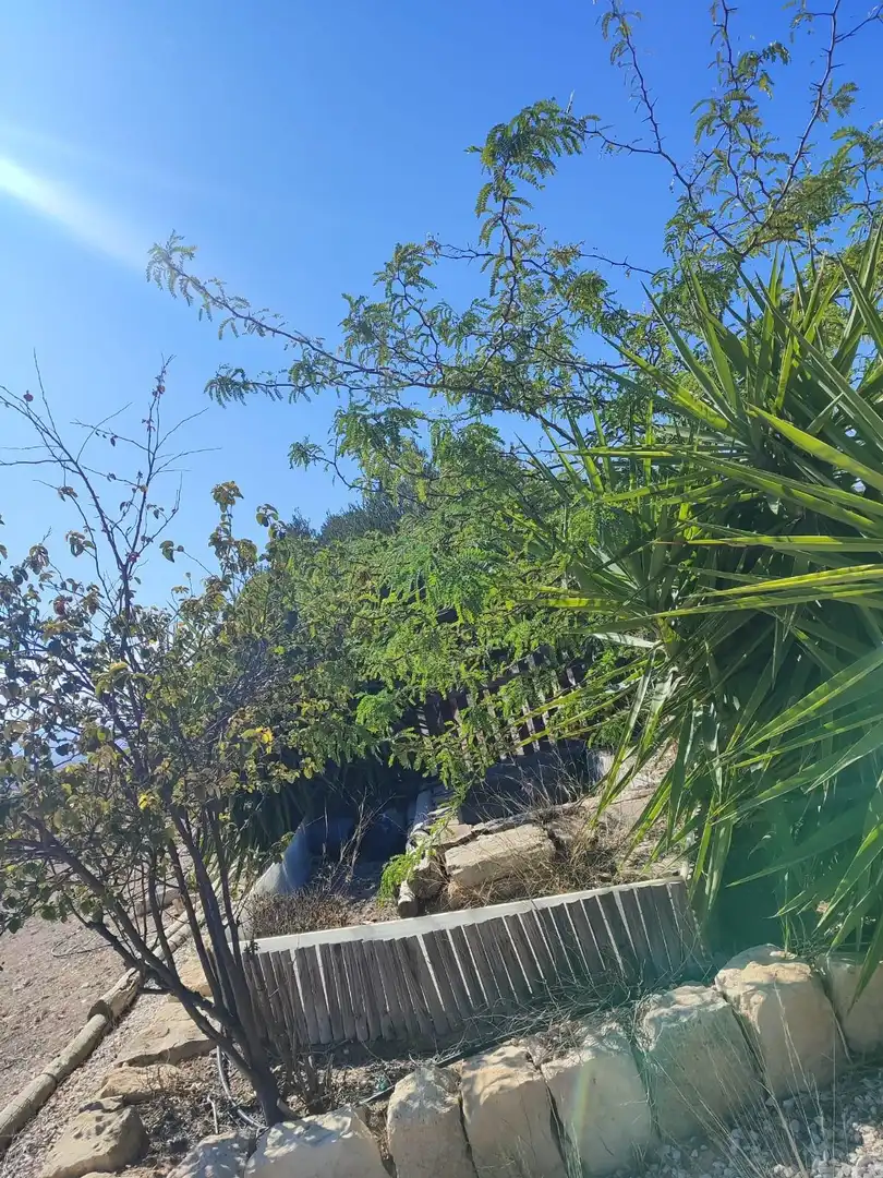 Villa à vendre à Monóvar  / Monòver, imagen 7