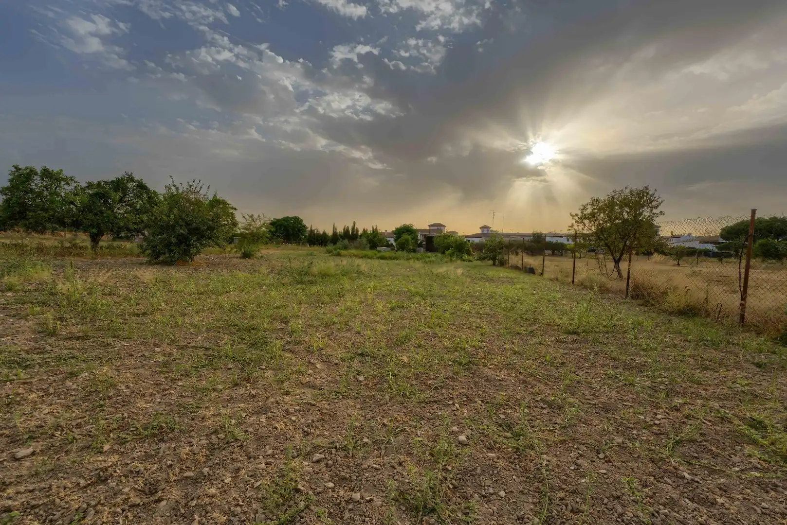 Casa adosada en venta en Olivares