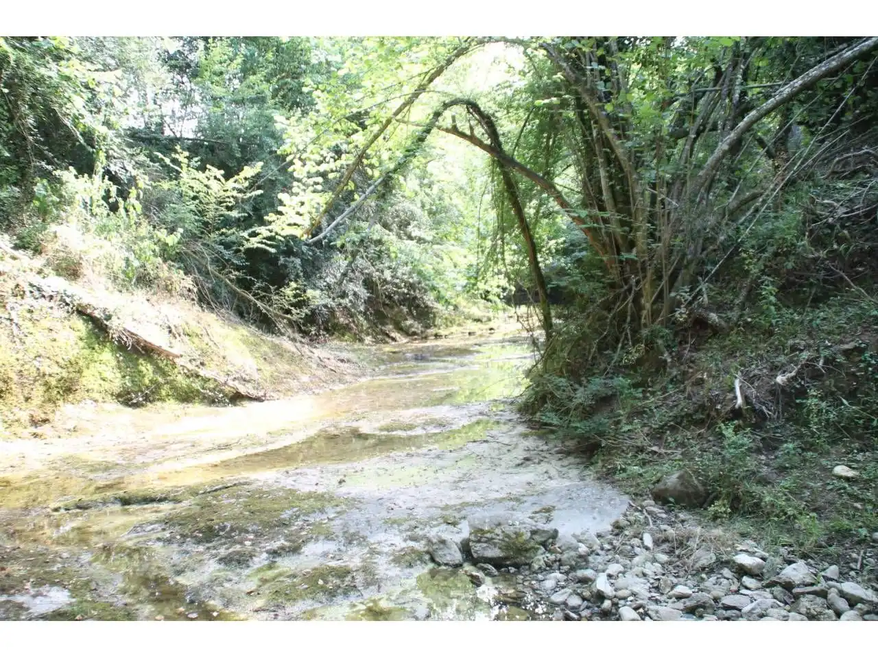 Vista exterior de Finca rústica en venda en Sant Feliu de Pallerols amb Jardí privat i Terrassa