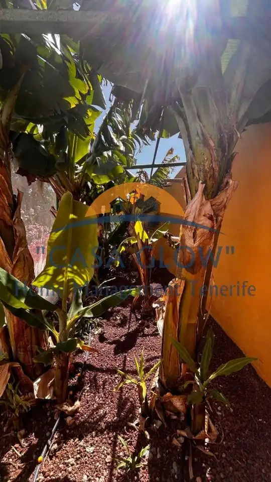 Jardín de Casa o chalet en venta en Arico con Aire acondicionado, Jardín privado y Terraza