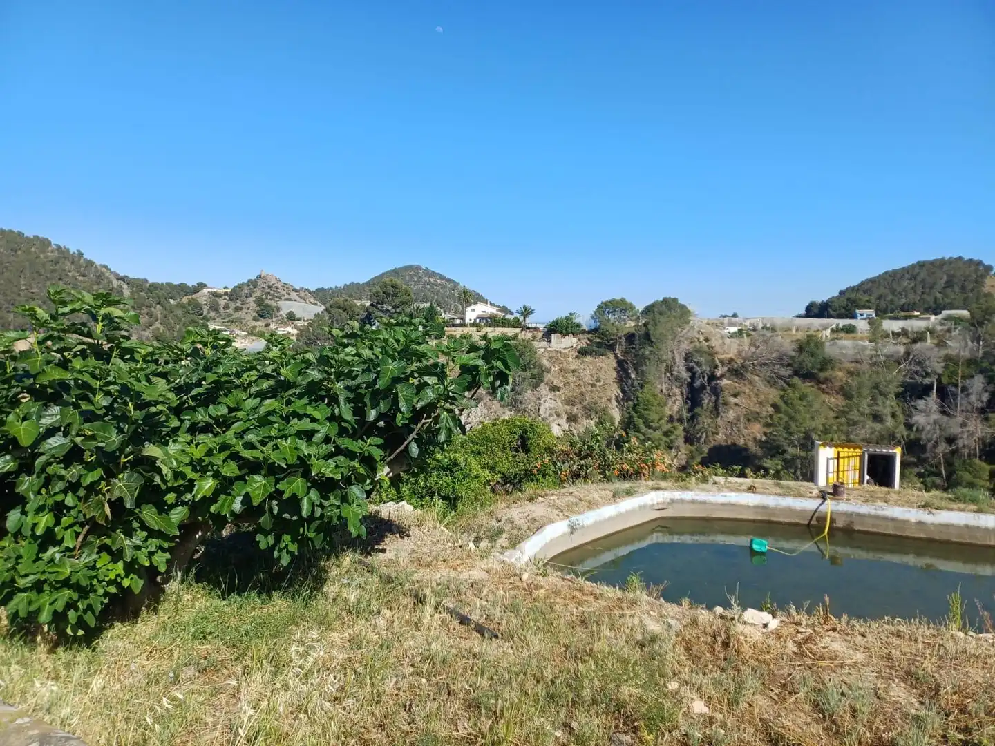Rural land for sale in Callosa d'en Sarrià, imagen 30