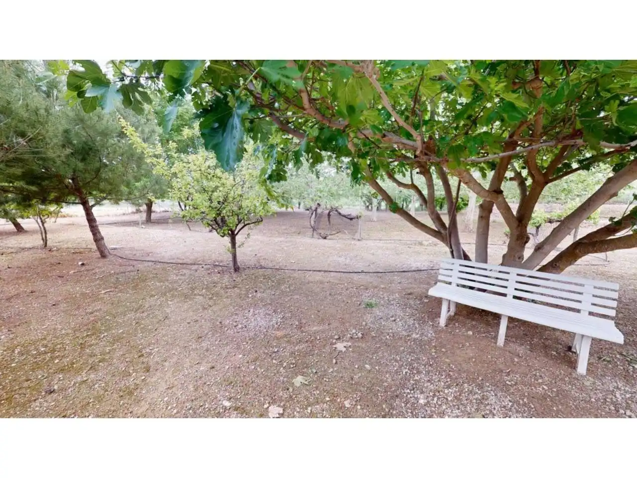 Villa con piscina in vendita a Caravaca de la Cruz, imagen 6