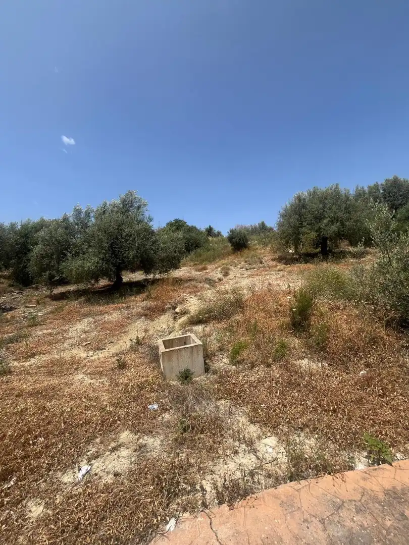 Rustikales Grundstück zum Verkauf in Viñuela, imagen 4