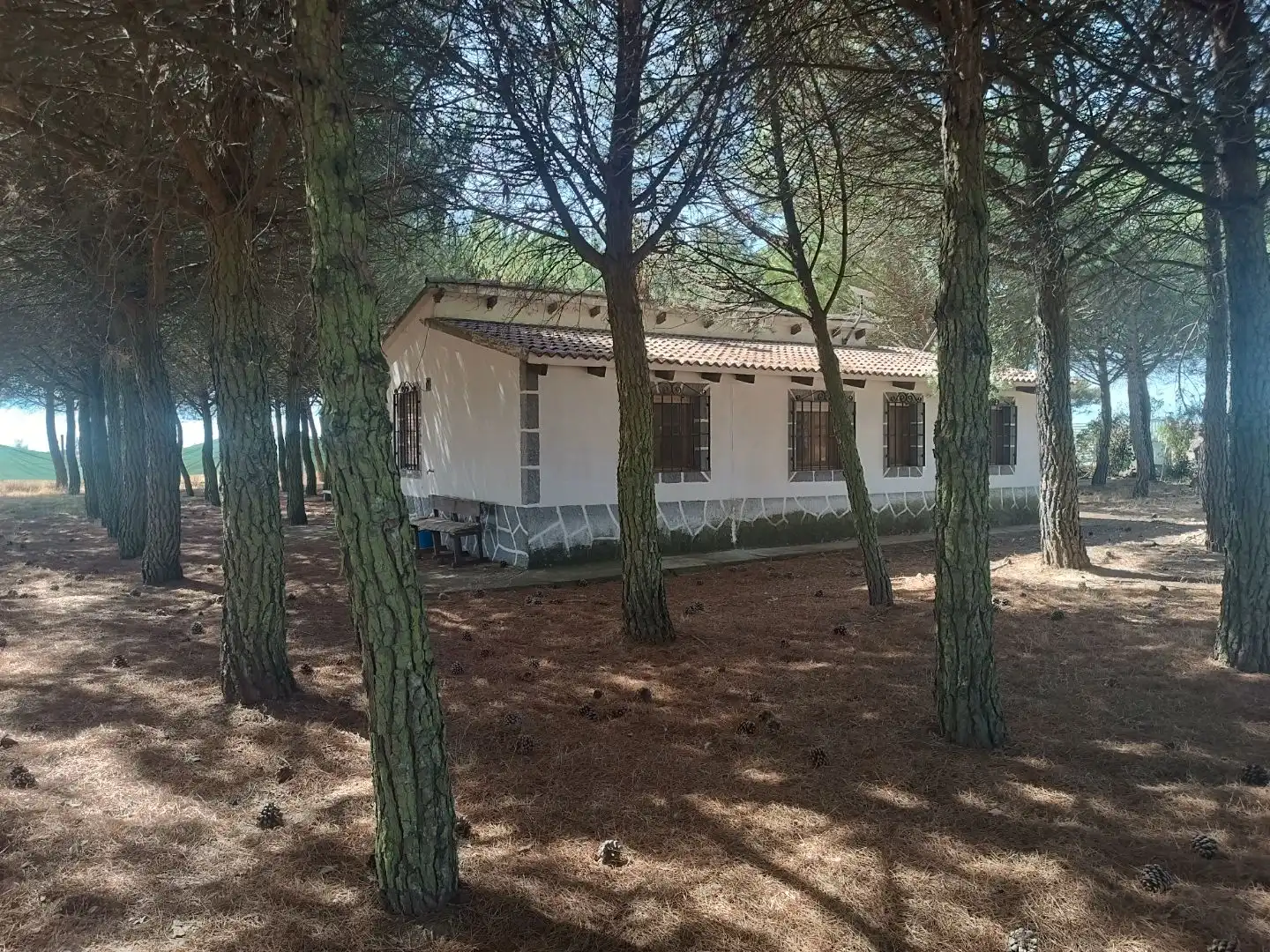 Vista exterior de Casa o xalet en venda en Villarrabé, Palencia