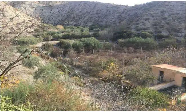 Terreno en venta en Santa Cruz de Marchena