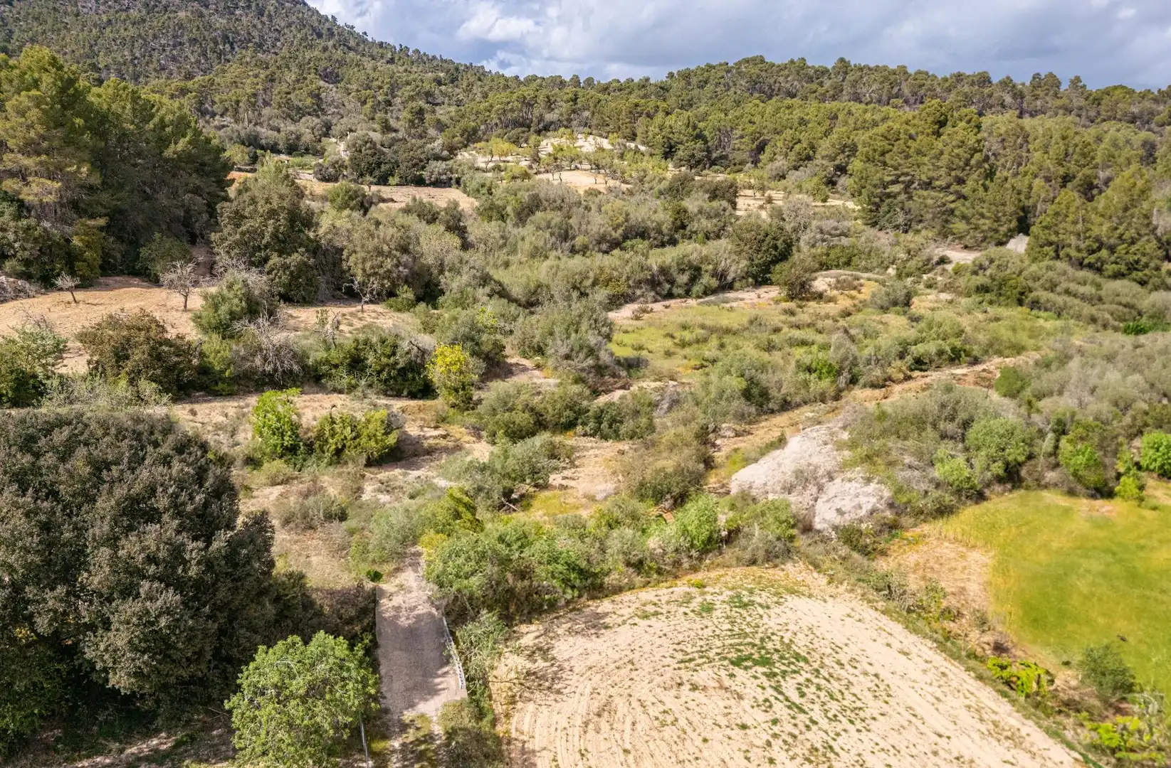 Terreno rustico in vendita a Llucmajor pueblo, imagen 12