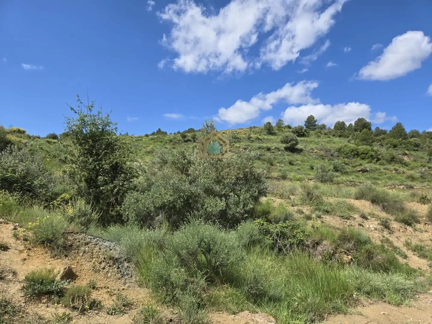 Xalet amb piscina en venda a POLIGONO 15, PARCELA 295, EL RINCON 0, imagen 61