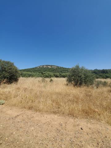 Finca rústica en Venta en Área Rural-Valverde-Las Casas