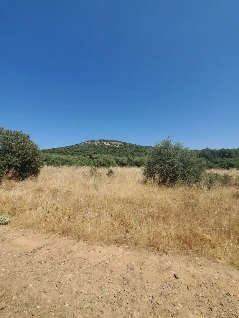 Finca rústica en venta en Área Rural-Valverde-Las Casas