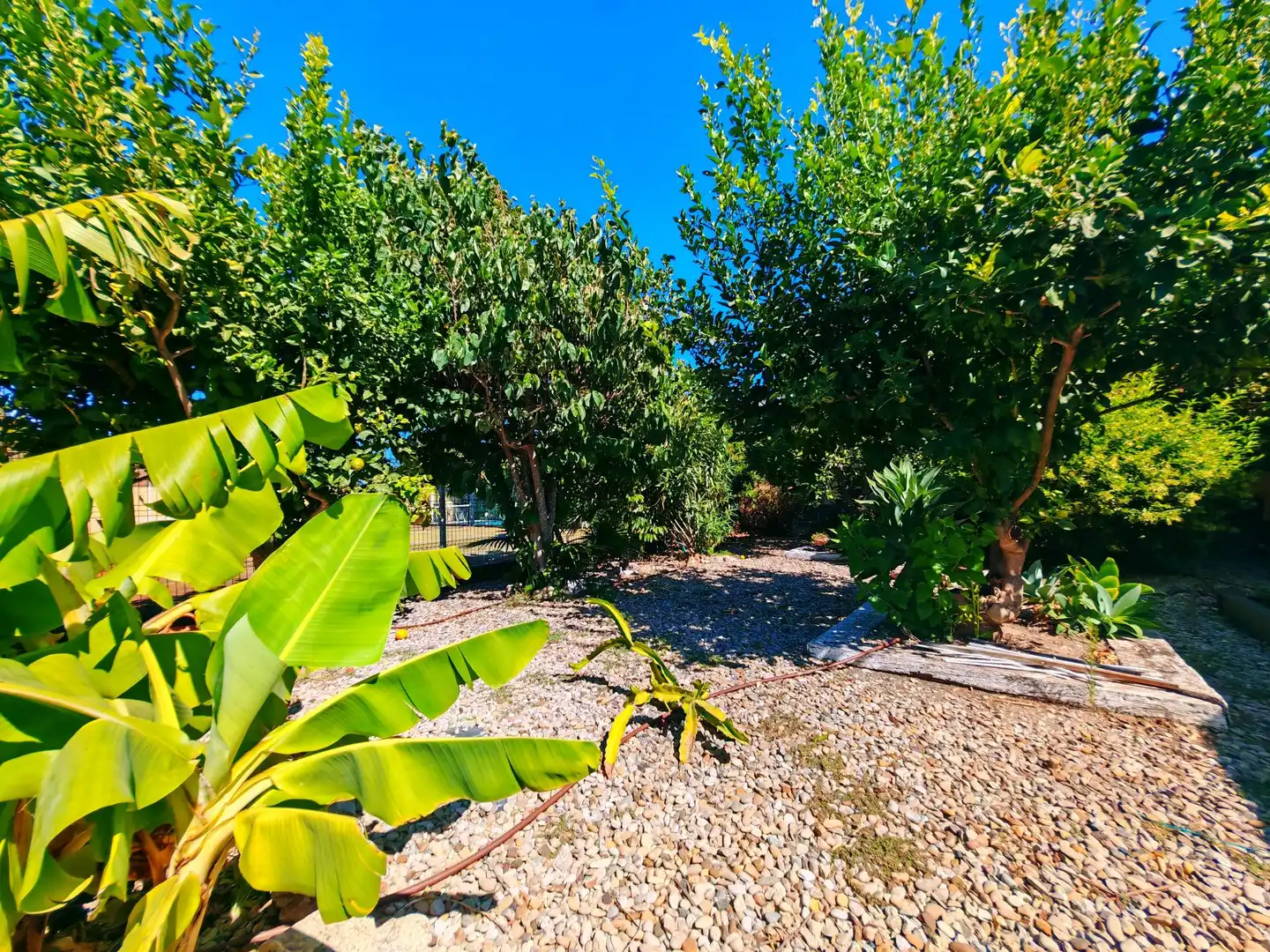 Detached house with pool for sale in Pelagatos - Pago del Humo, imagen 36