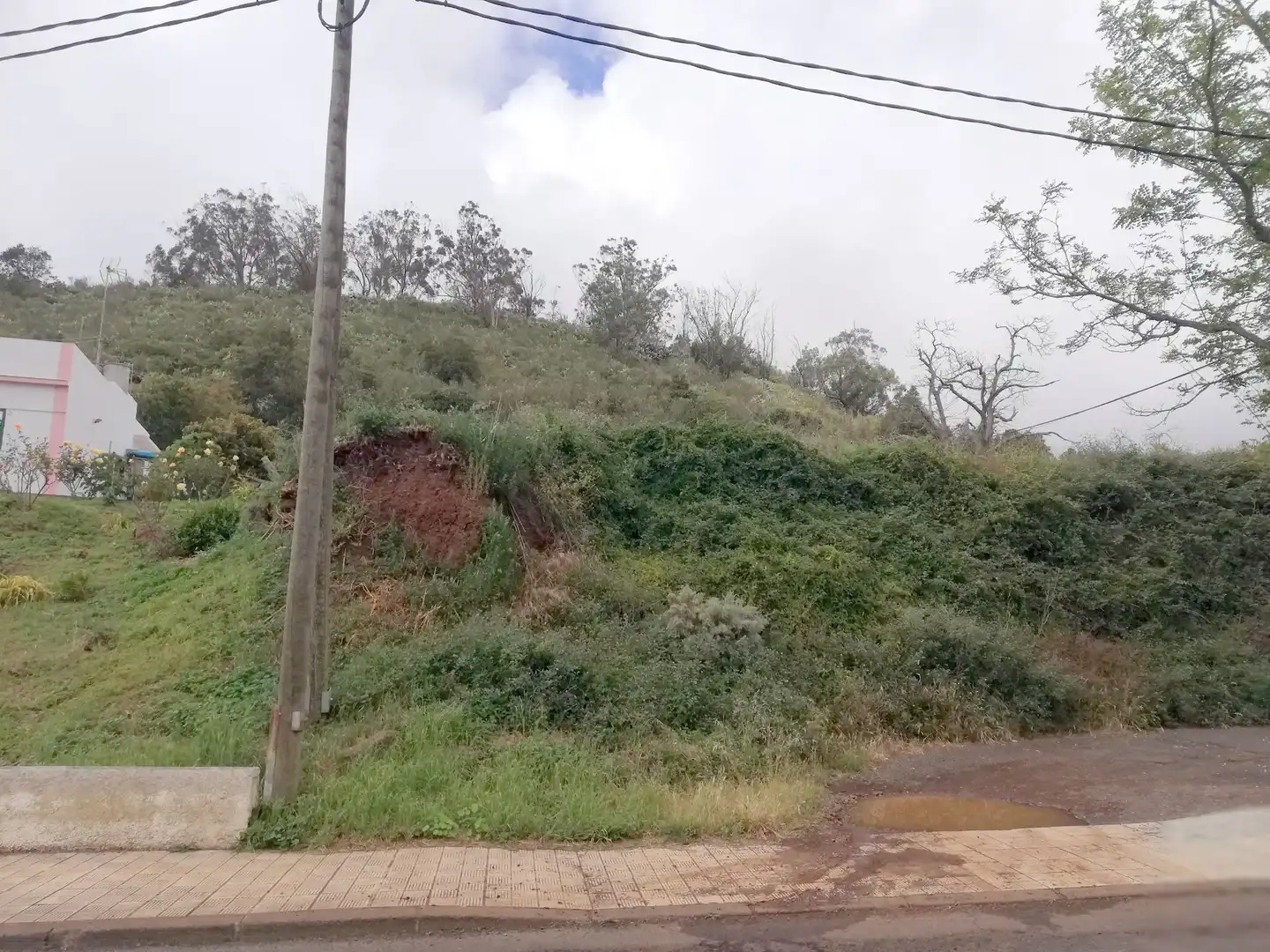 Residencial en venda a Calvario, 257, Tacoronte - Los Naranjeros