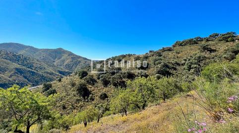 Photo 3 of Houses for rent in Residencial Jardín Botánico, Málaga Capital