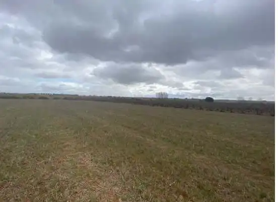 Terreni e lotti in vendita a Chozas de Abajo