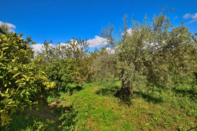 Country house zum Verkauf in Ronda mit Privatgarten