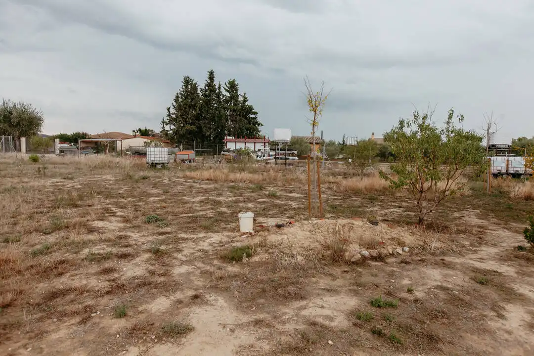 Terreny rústic en venda a Pedanias, imagen 16