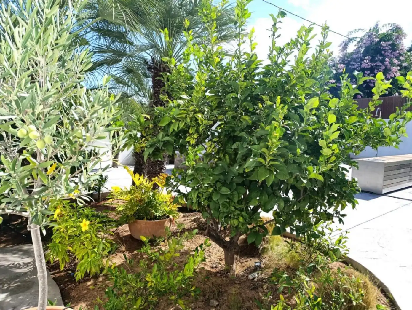 Villa avec piscine à vendre à La Granadella  - Costa Nova, imagen 54
