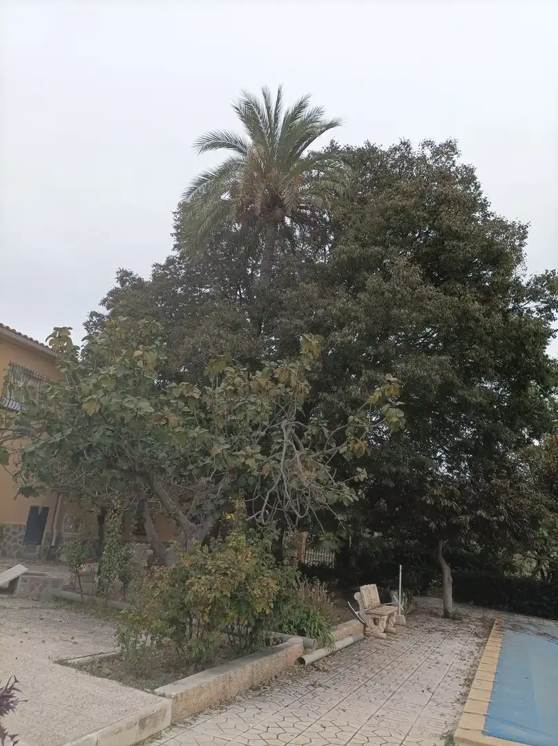 Xalet amb terrassa en venda a Diseminado Sector 2 223, imagen 16
