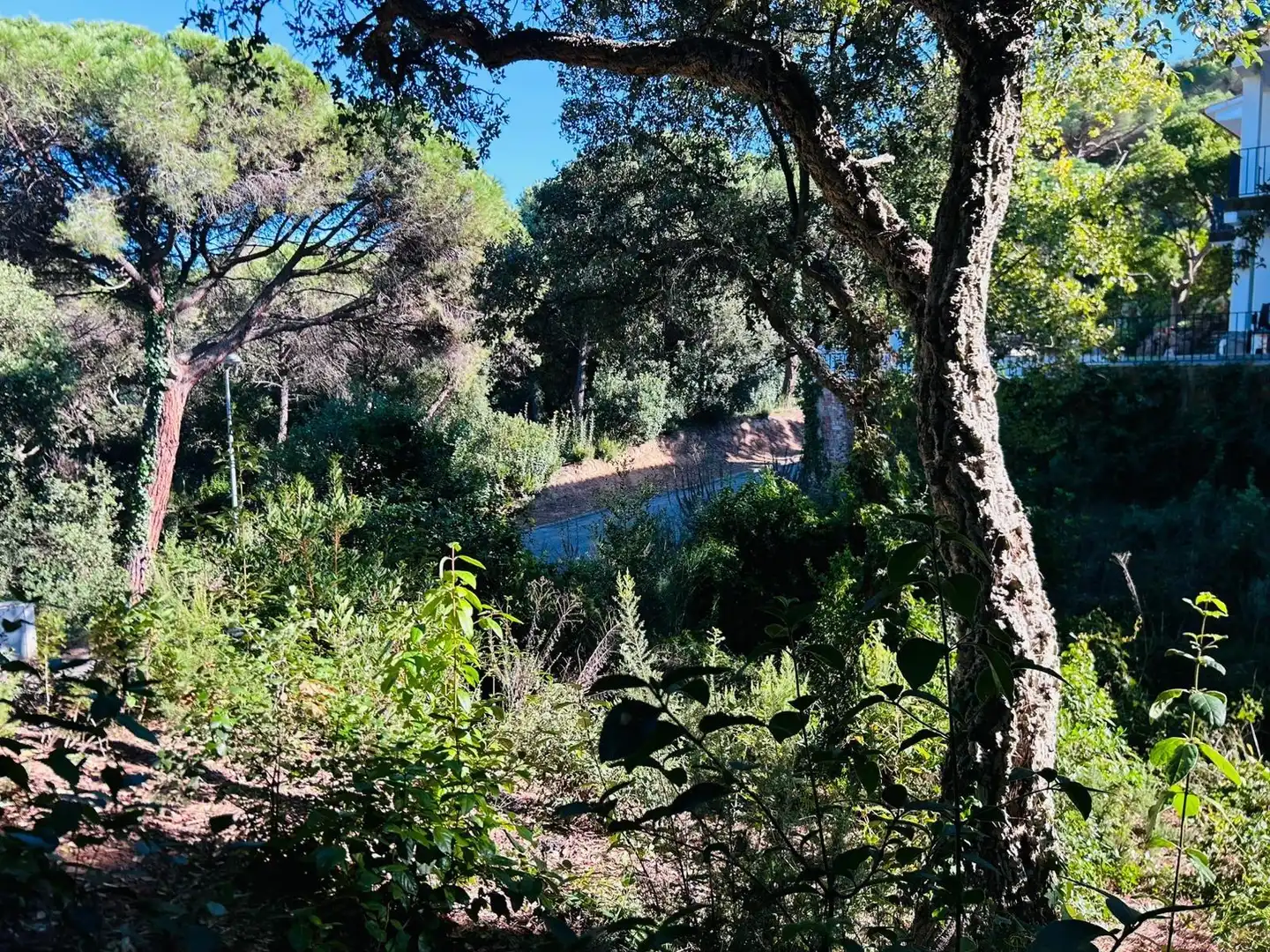 Terrenys i solars en venda a Carrer de Rosamar, imagen 4