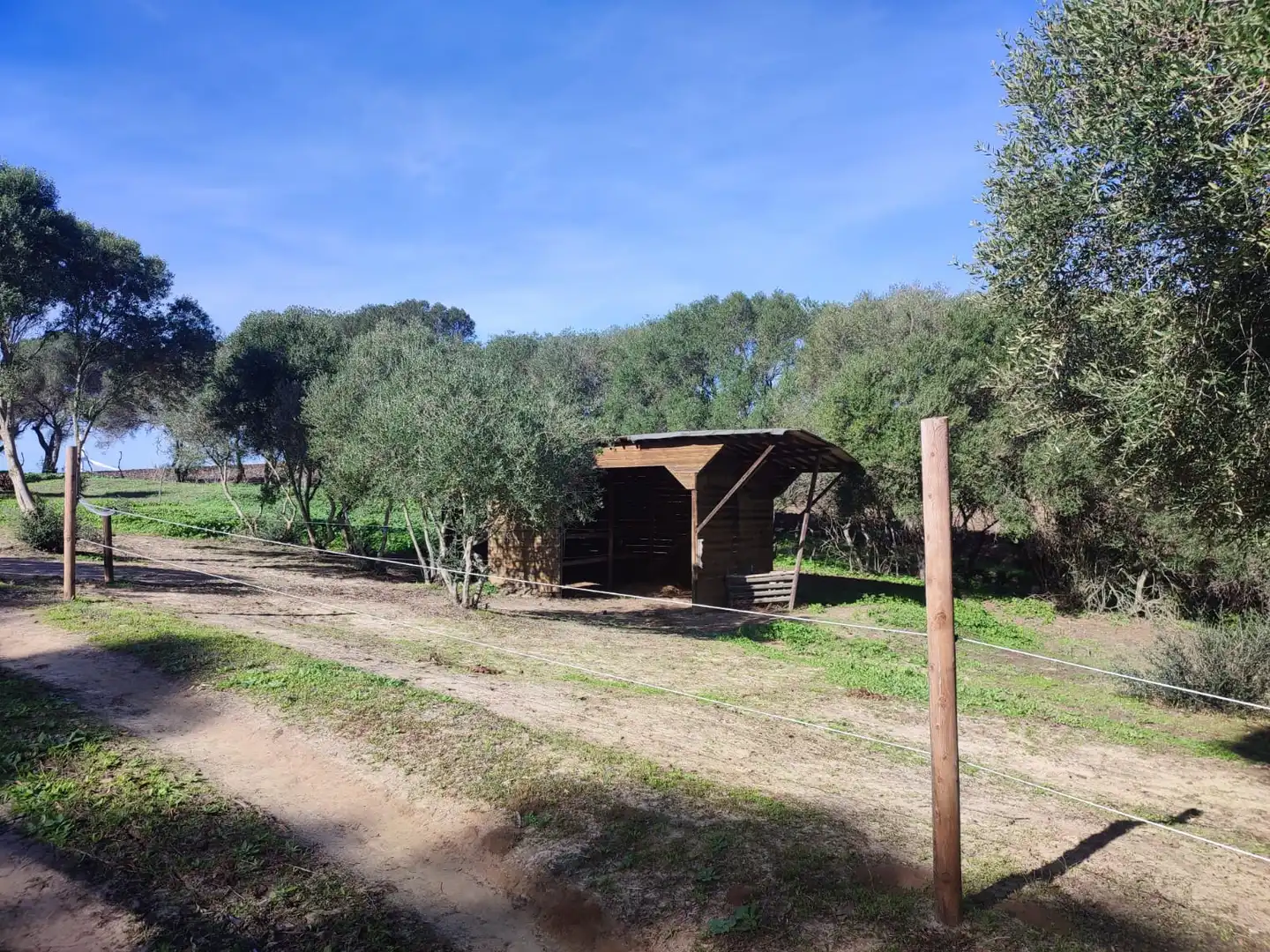 Haus oder Chalet zum Verkauf in Vejer de la Frontera mit Heizung, Privatgarten und Parkett