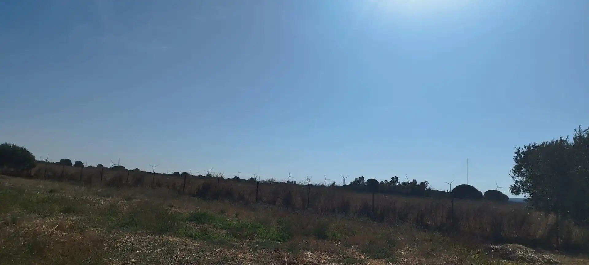 Terreno en venta en Puerto Real