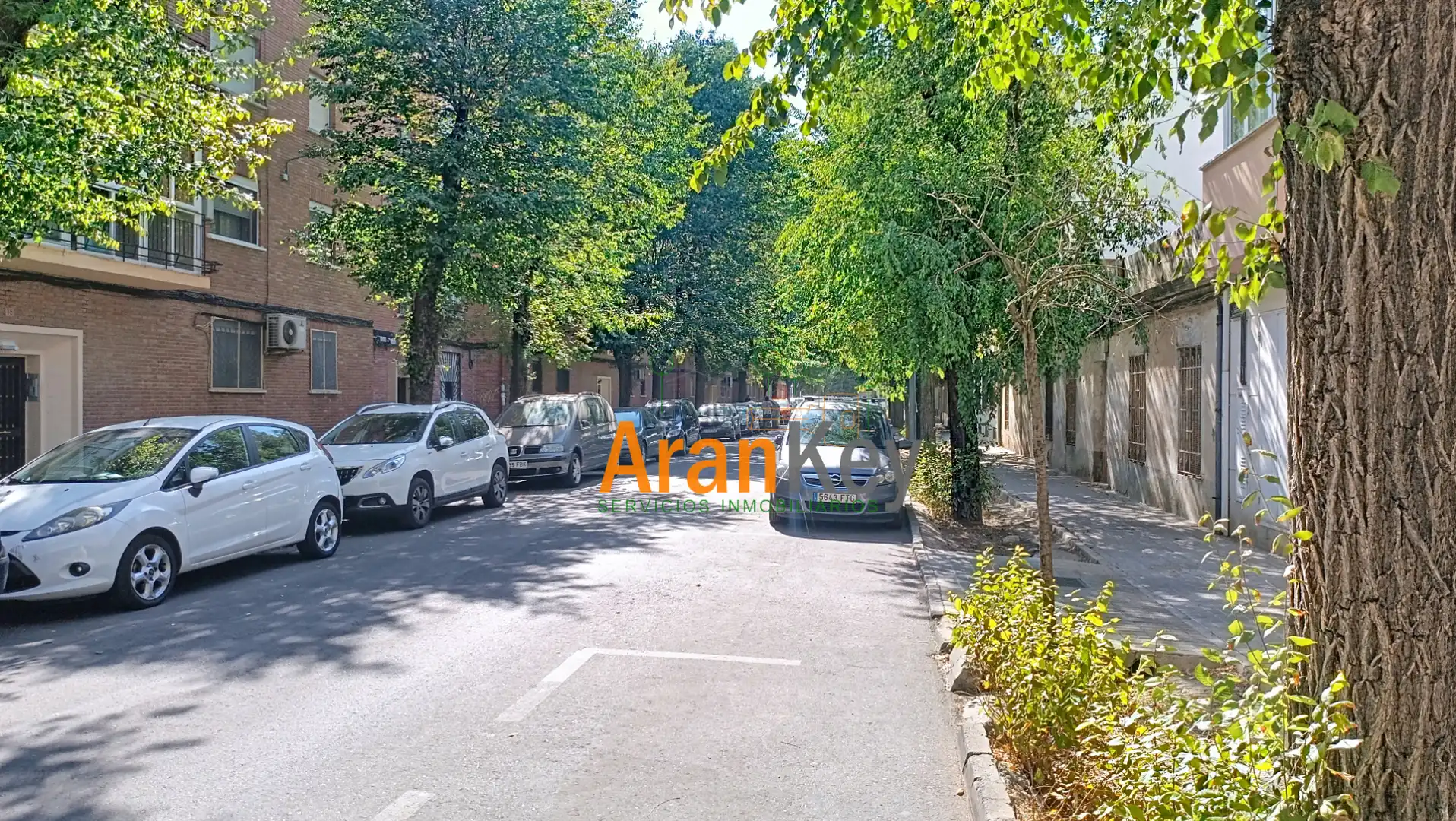 Piso en venta en Calle de los Olmos, Foso - Moreras