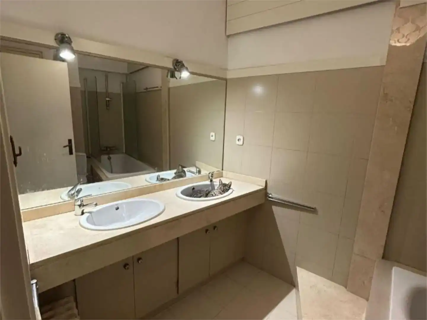 Bany de Apartament per a compartir en Barcelona amb Parquet, Moblat i Balcó
