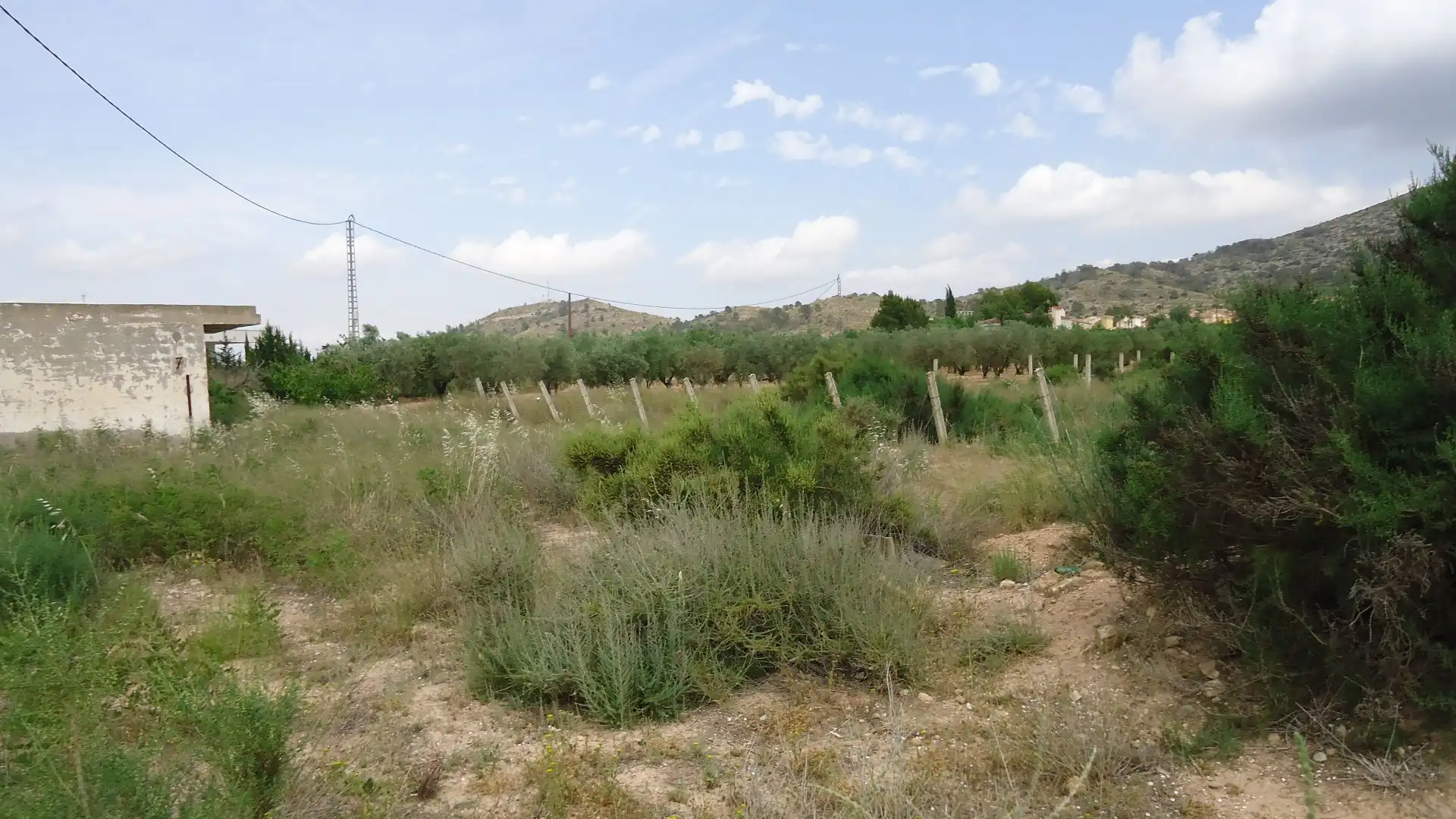 Terreno rustico in vendita a Hondón de las Nieves / El Fondó de les Neus, imagen 5