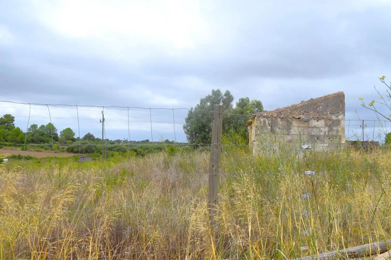 Residential land for sale in Santa Margalida Poble, imagen 3