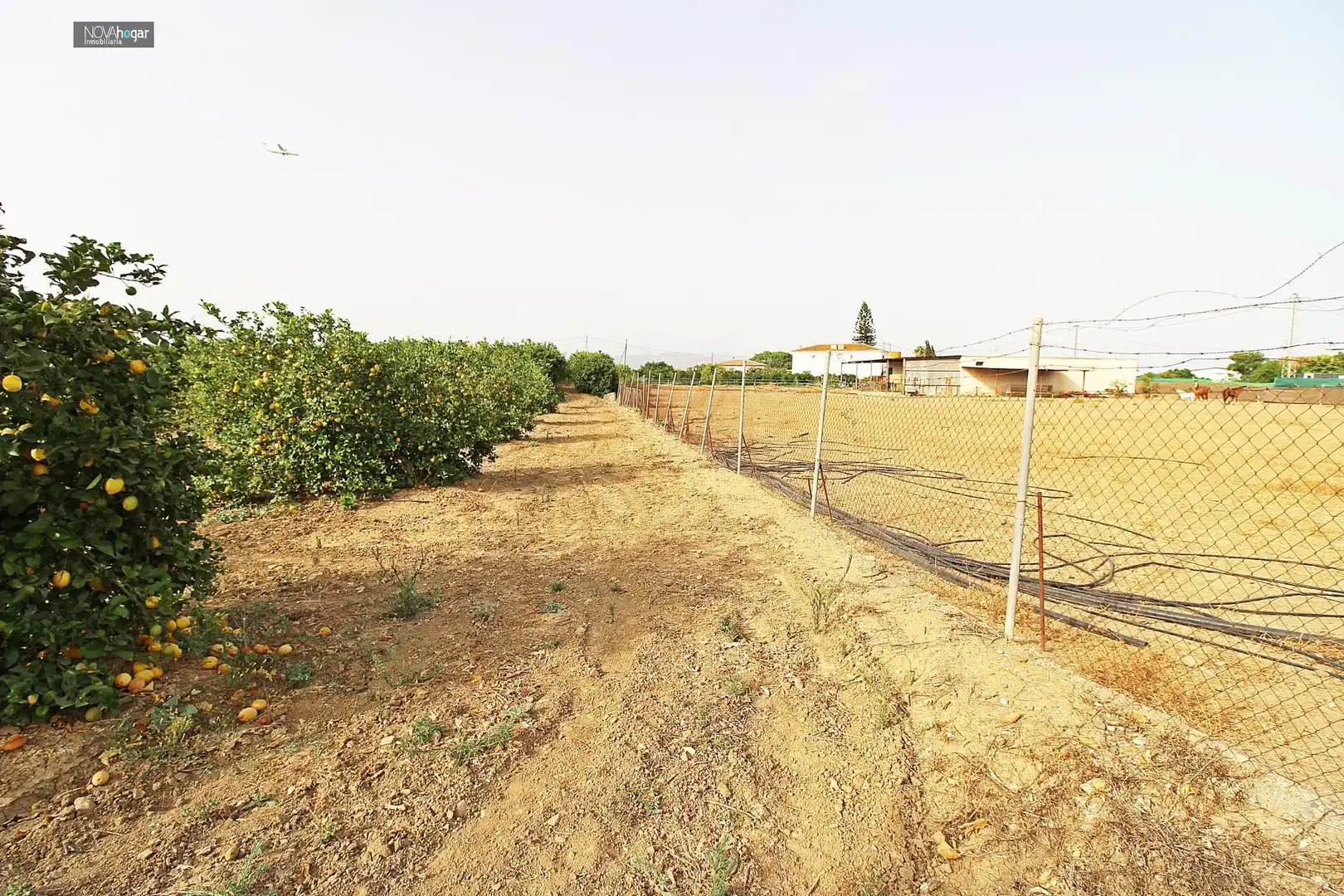 Finca rústica en venta en Málaga