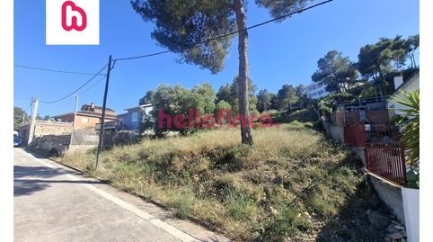 TERRENO EN CANYELLES, immagine 4