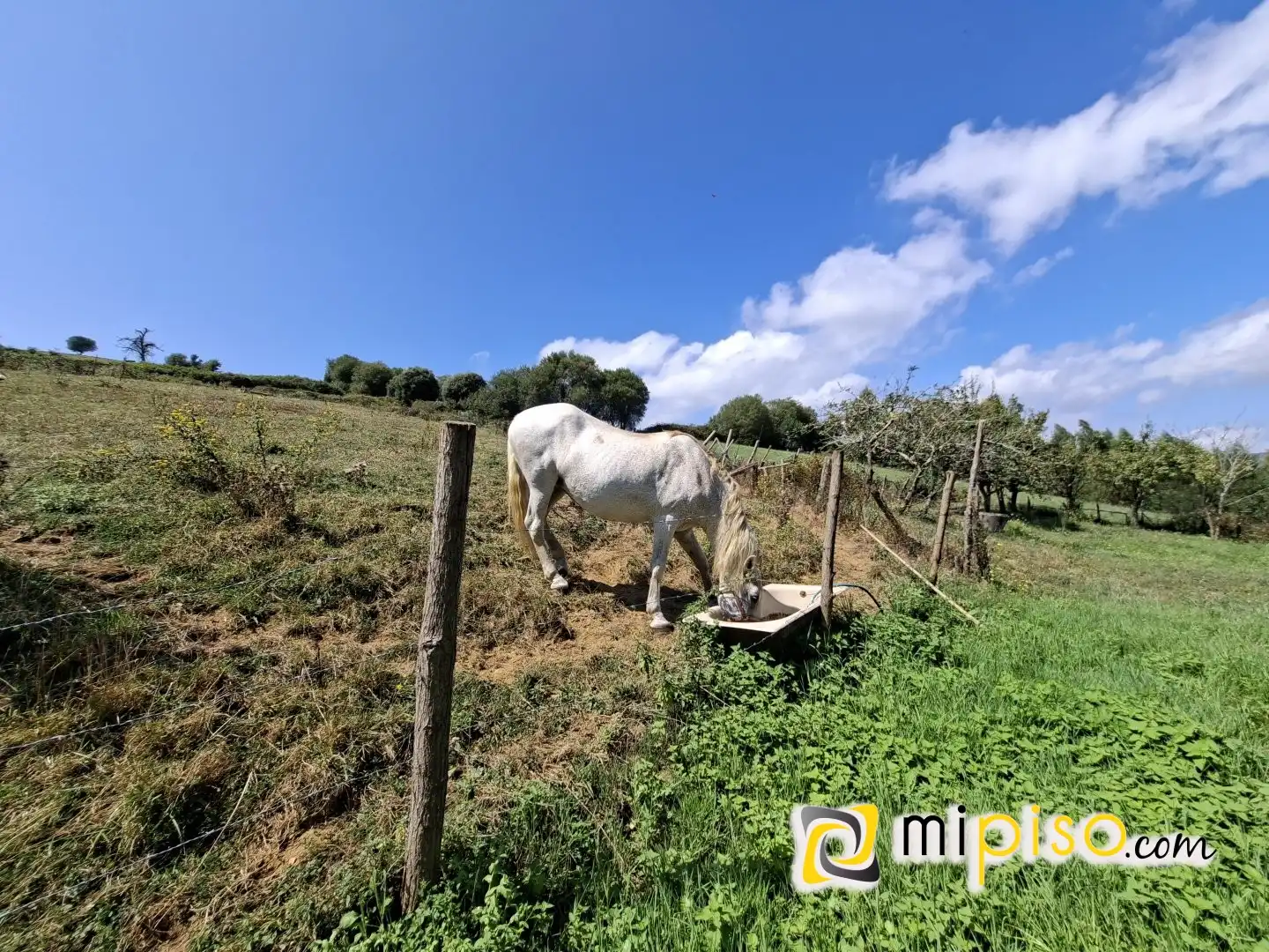 Casa o chalet en venta en Bárcena de Cicero