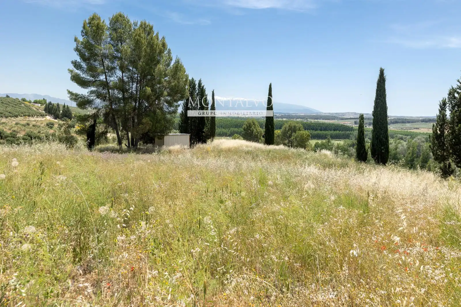 Land for sale in Pinos Puente