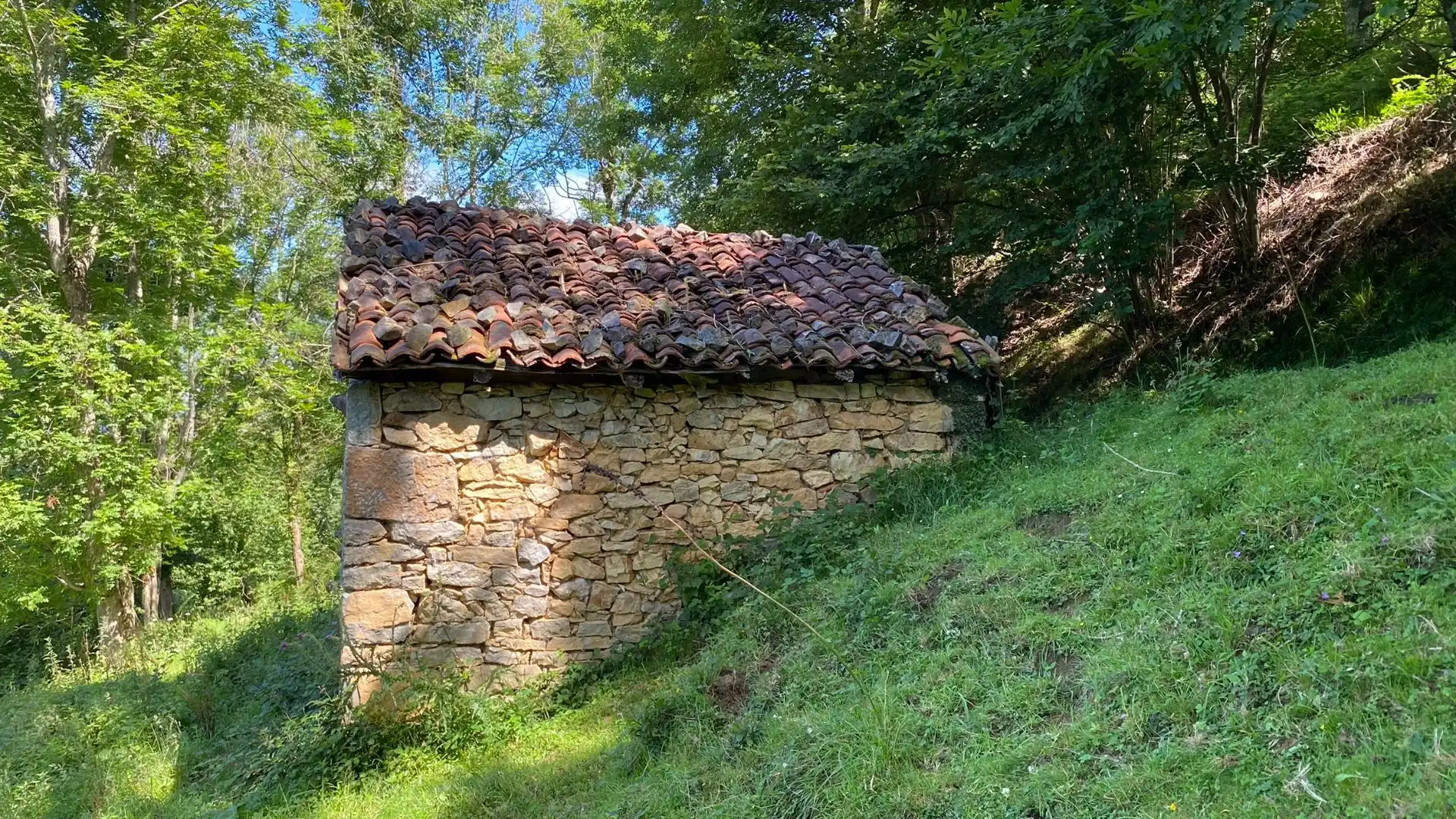Terreno en venta en PRIESCA, Ponga