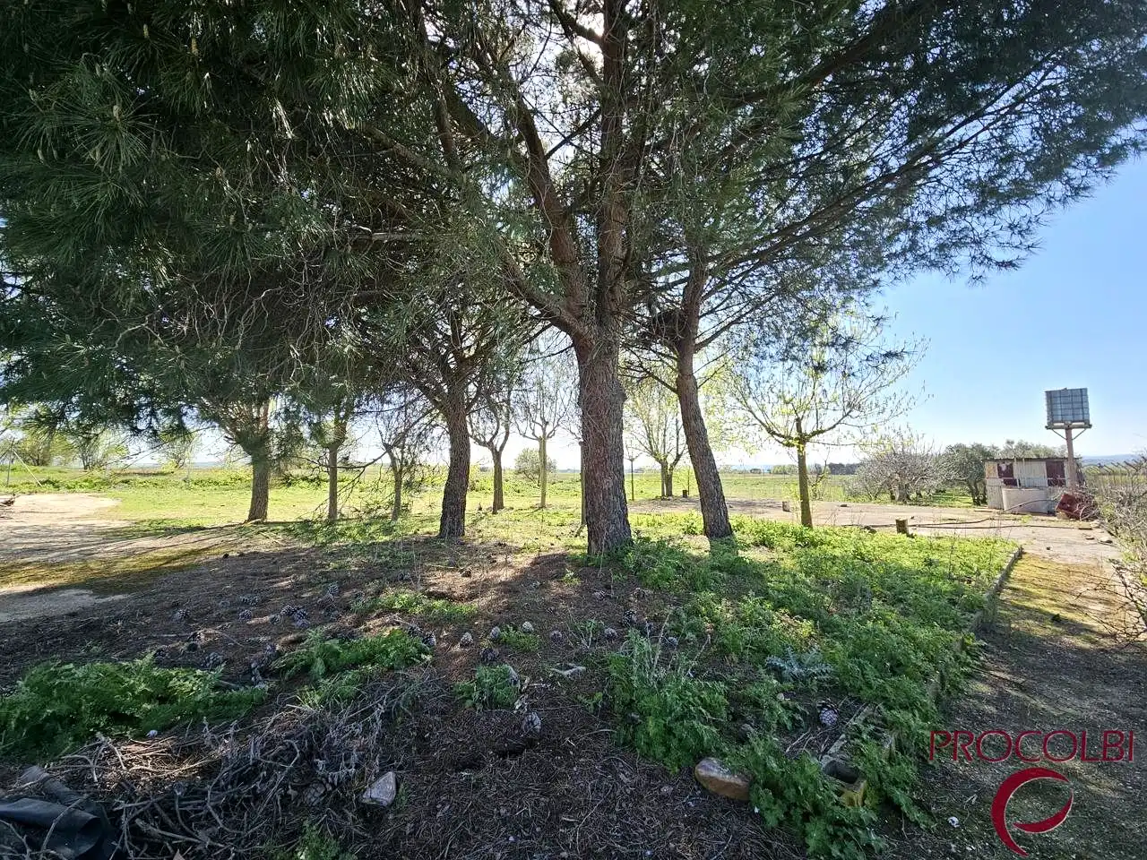 Terreno en venta en Valdeolmos-Alalpardo