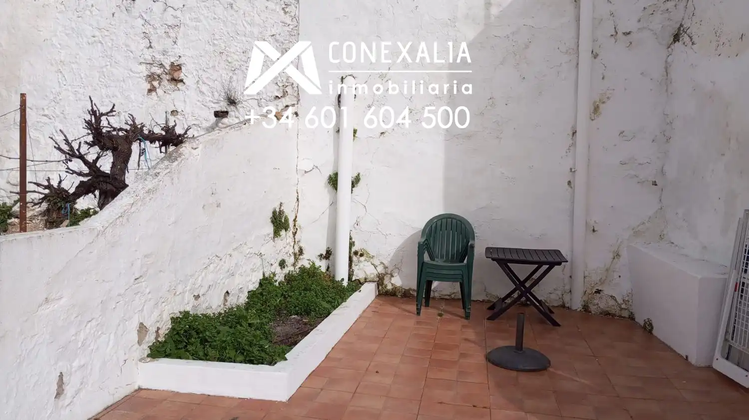 Vista exterior de Casa o chalet en venta en Olvera con Terraza