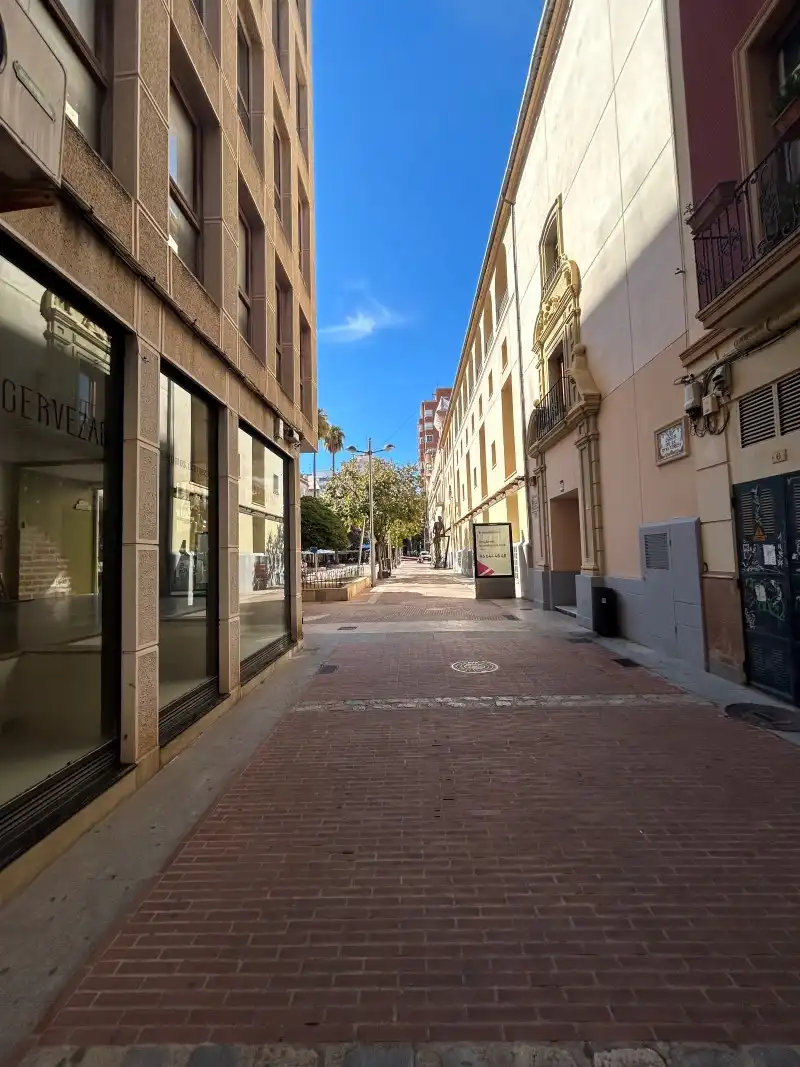 Wohnung mit Terrasse zum Verkauf in Plaça del Rei en Jaume I, imagen 30