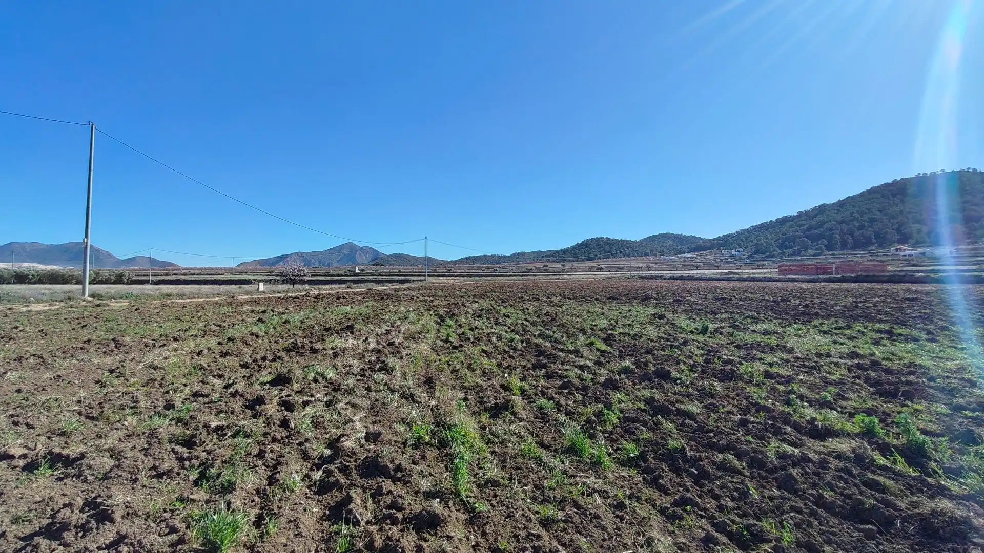 Lands and plots for sale in Abanilla, imagen 4