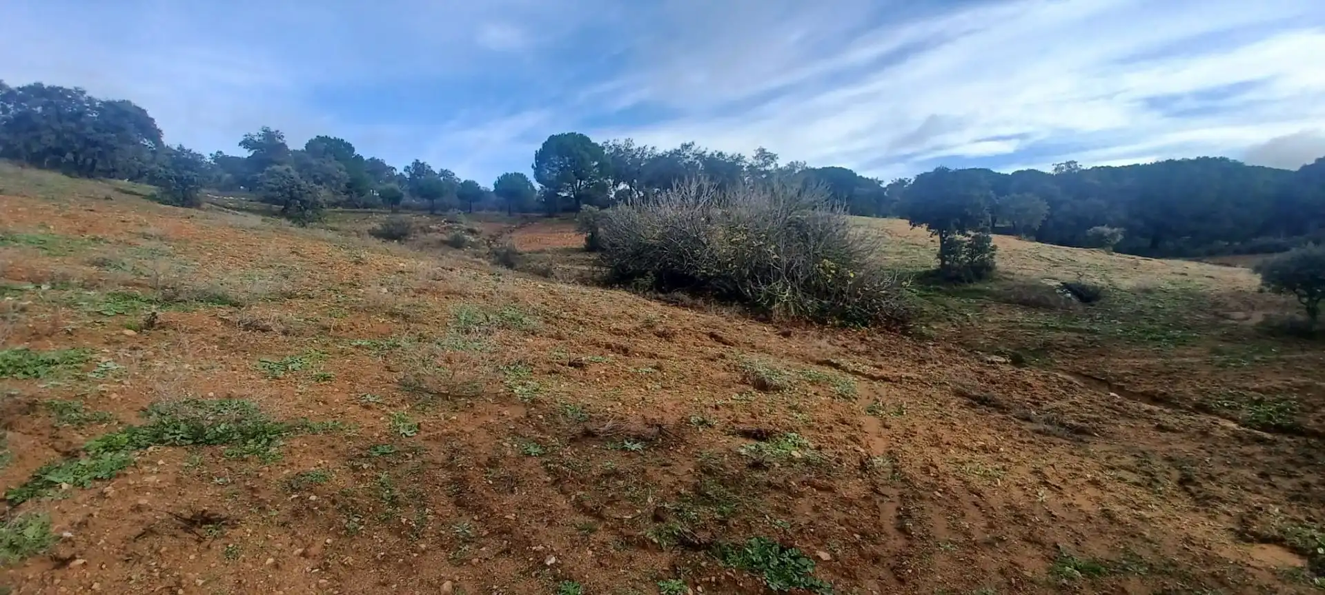 Terreny rústic en venda a Cazalla de la Sierra, imagen 45