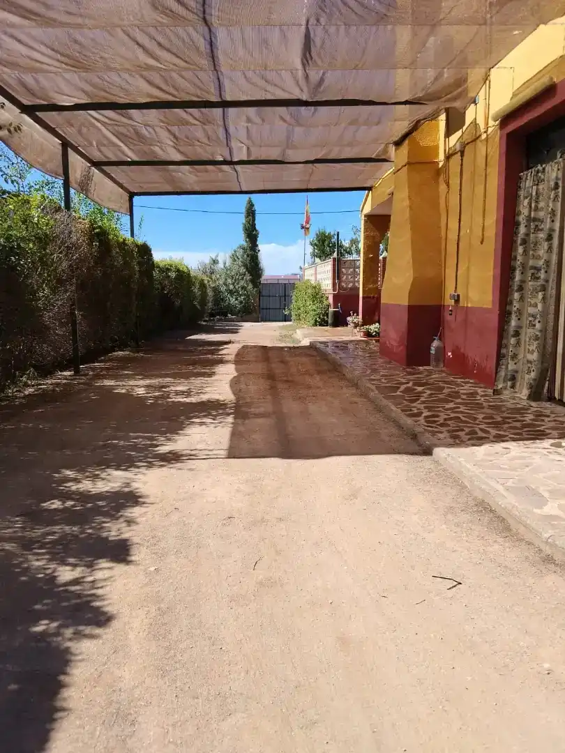 Vista exterior de Casa o xalet en venda en Membrilla amb Aire condicionat, Jardí privat i Parquet