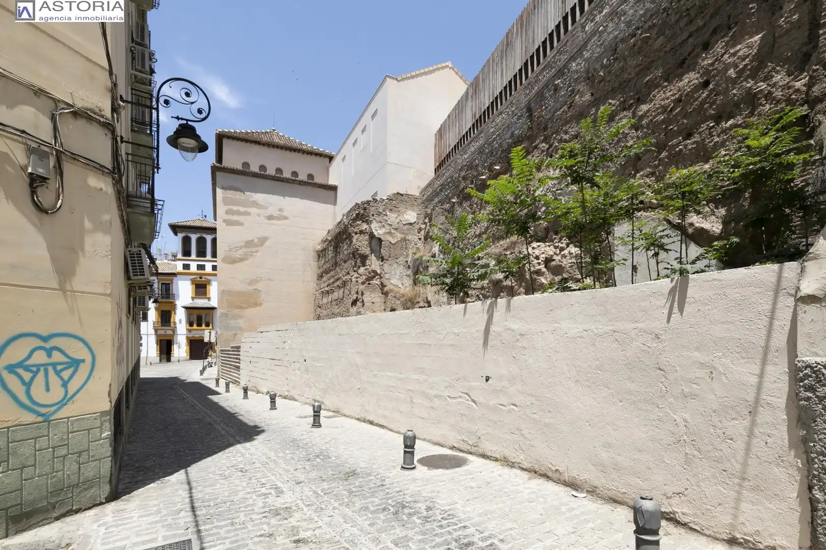 Adossat amb jardí en venda a Calle Calle Cuarto Real de Santo Domingo, imagen 41