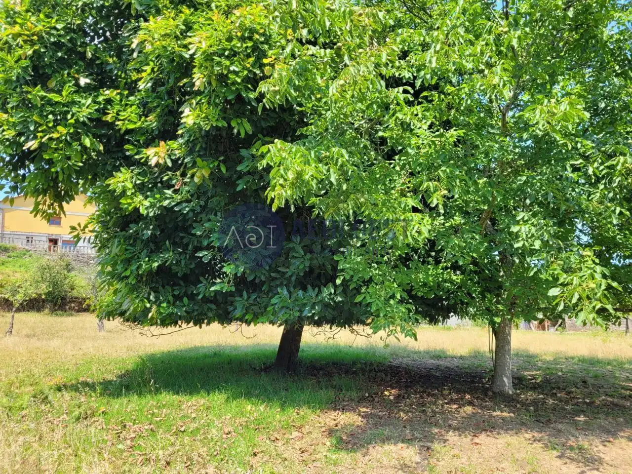 Wohnbaugrundstück zum Verkauf in Baiona, imagen 6