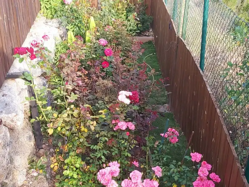 Jardí de Casa o xalet de lloguer en Las Negras
