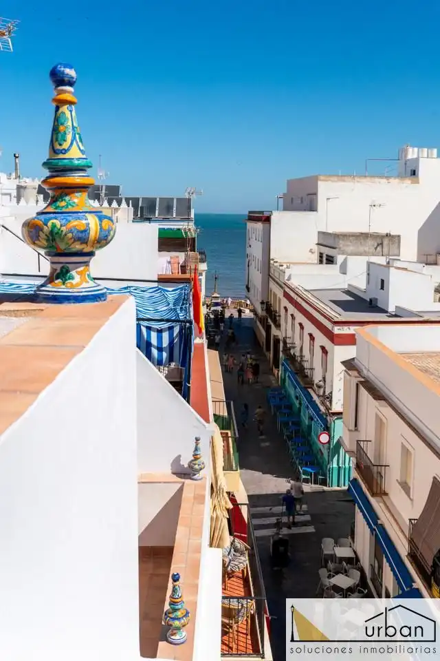 Exterior view of Houses for sale in Chipiona  with Private garden