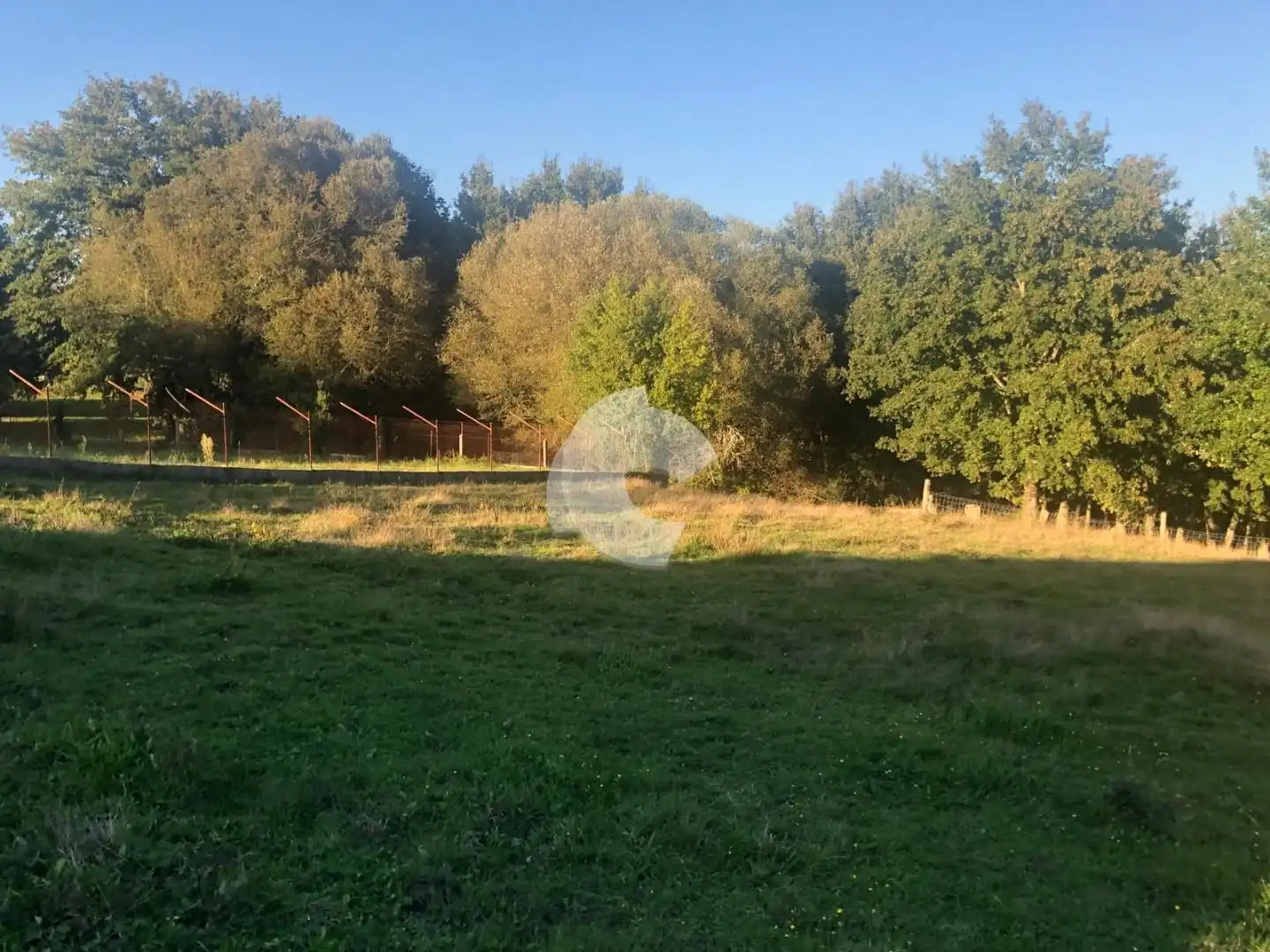 Terreni e lotti in vendita a Nogueira de Ramuín, imagen 13