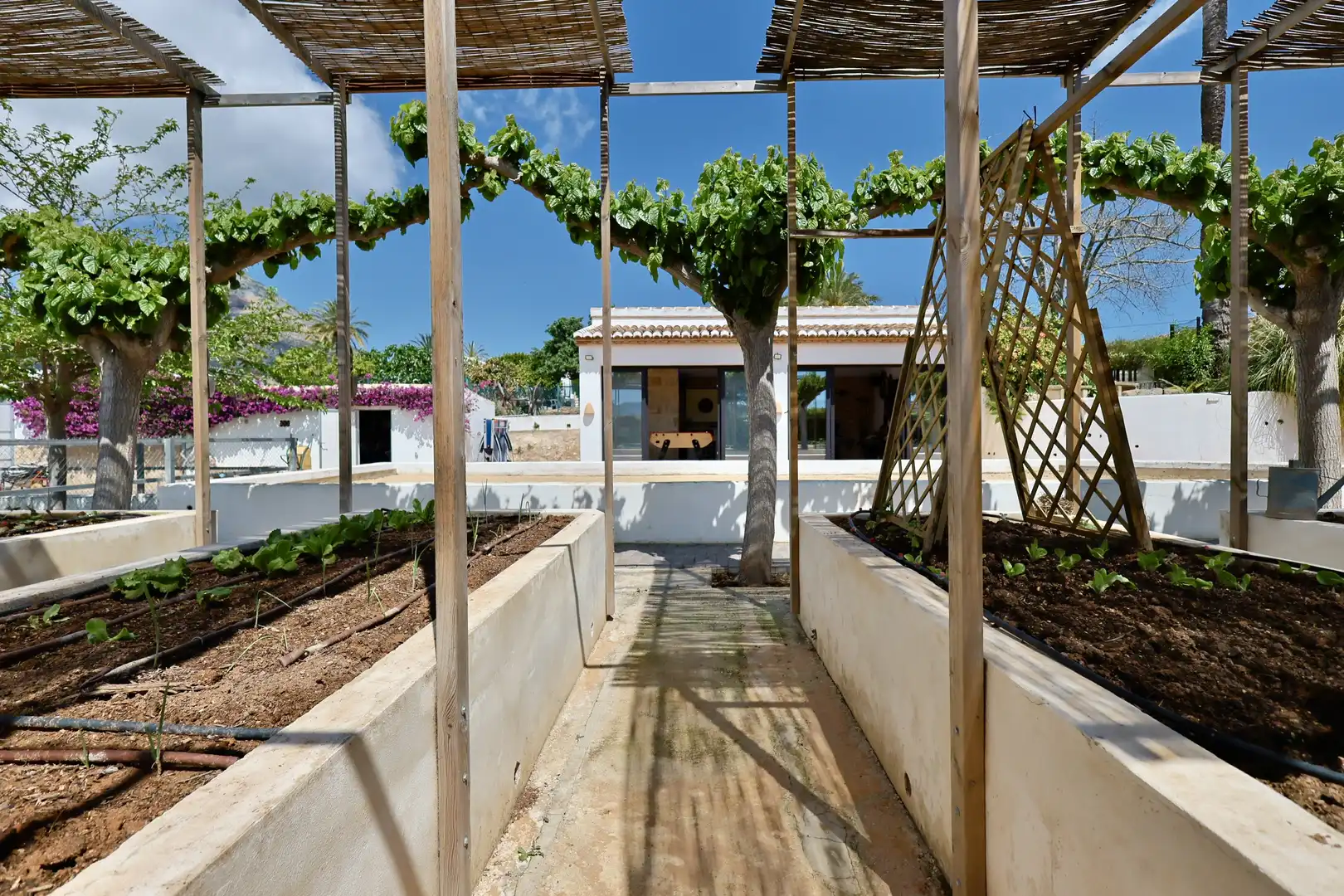 Terraza de Casa o chalet en venta en Jávea / Xàbia