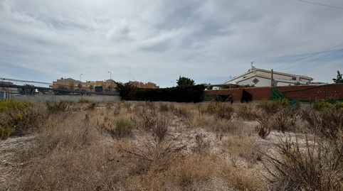 Foto 3 de Terreno industrial en venta en La Regia, Orihuela