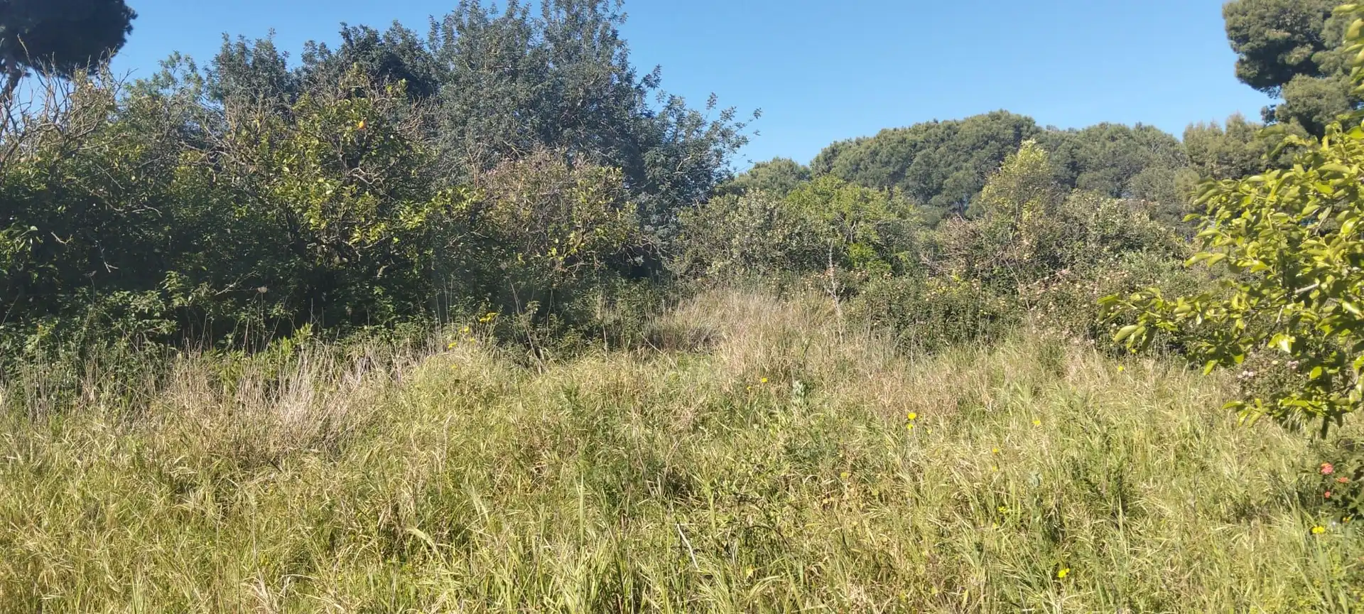 Terreni e lotti in vendita a Los Franceses – La Vega, imagen 15