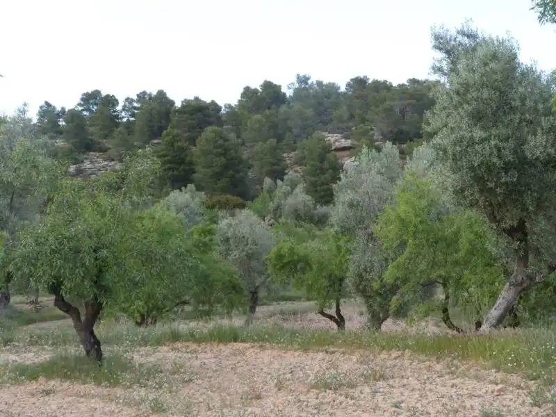 Country homes for sale in Valjunquera